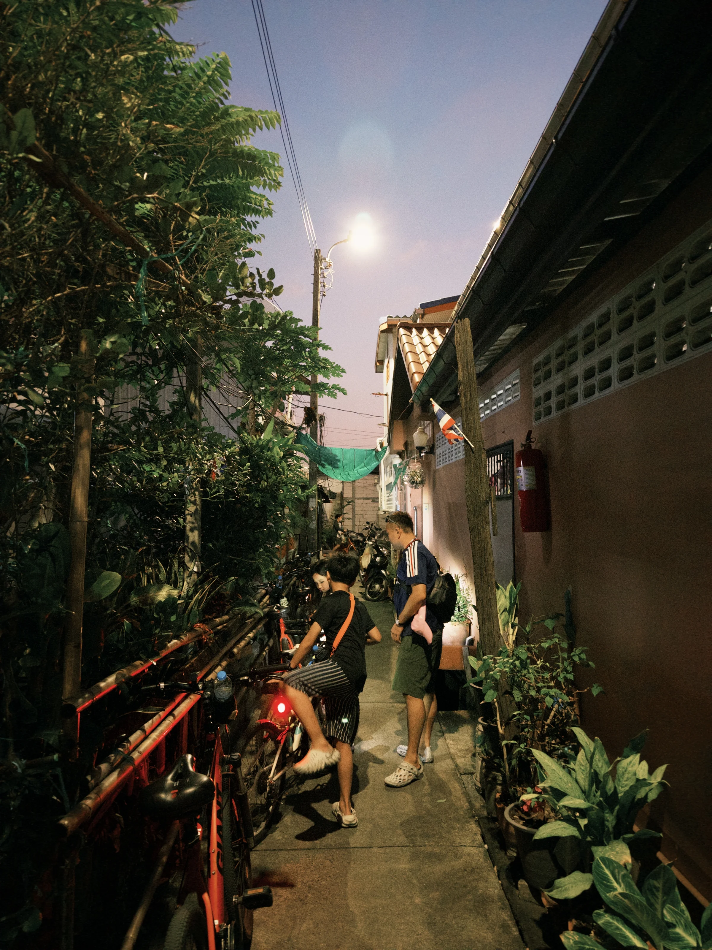 Alley at dusk