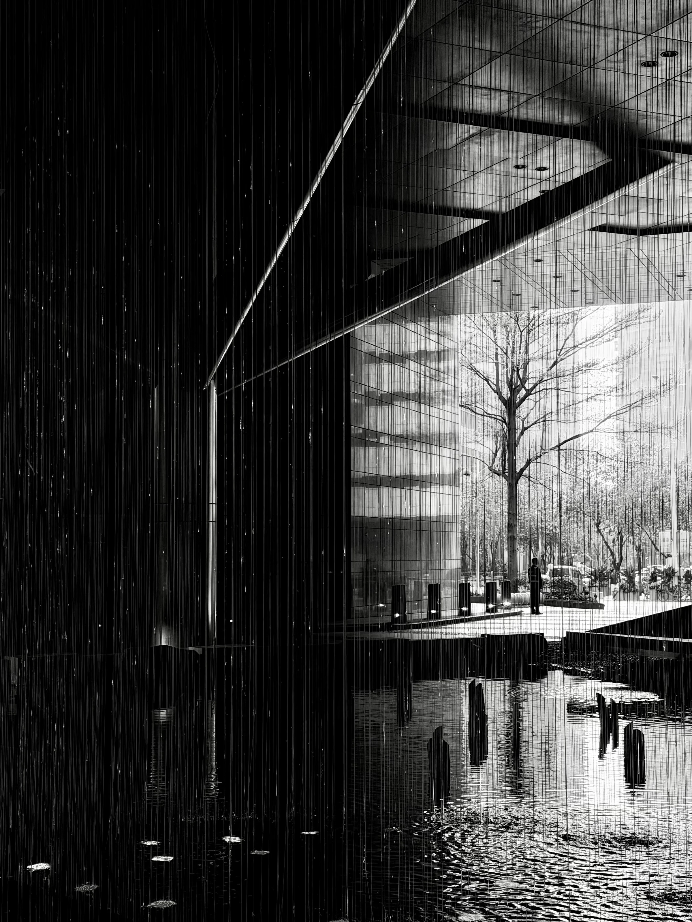 Atrium, black and white