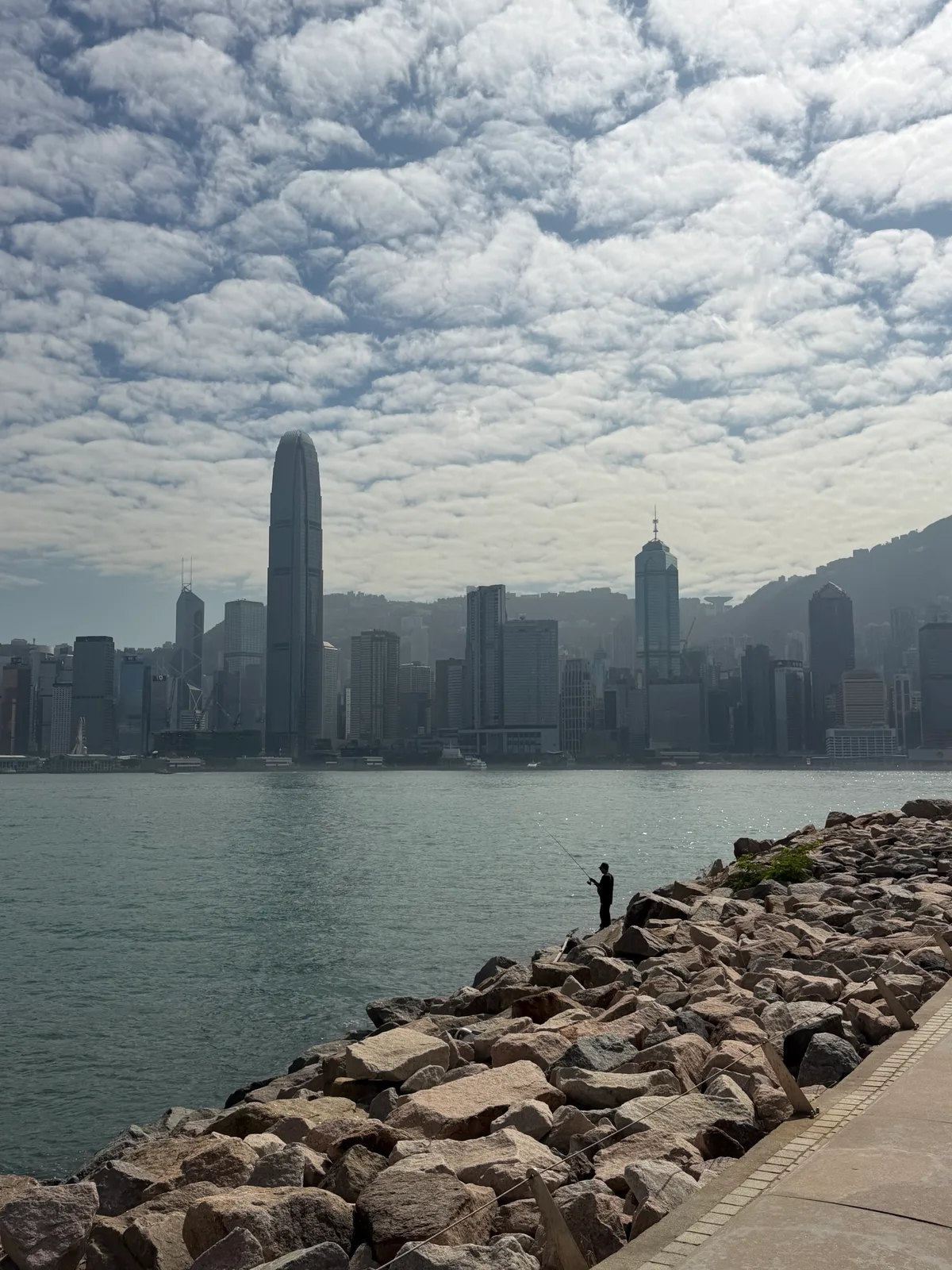 Harbour skyline