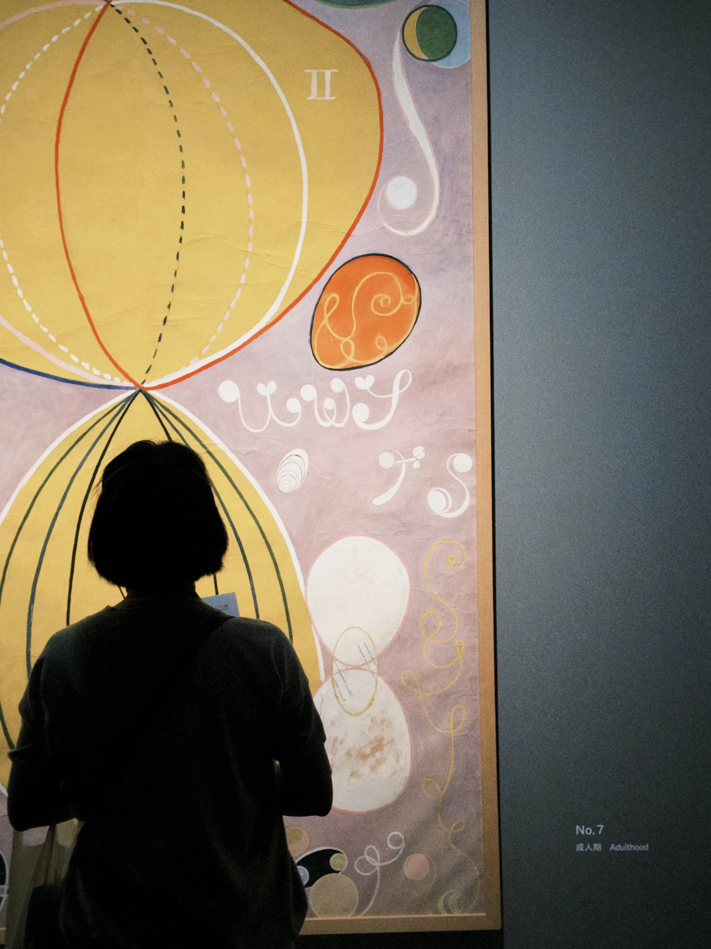 Silhouette before a painting