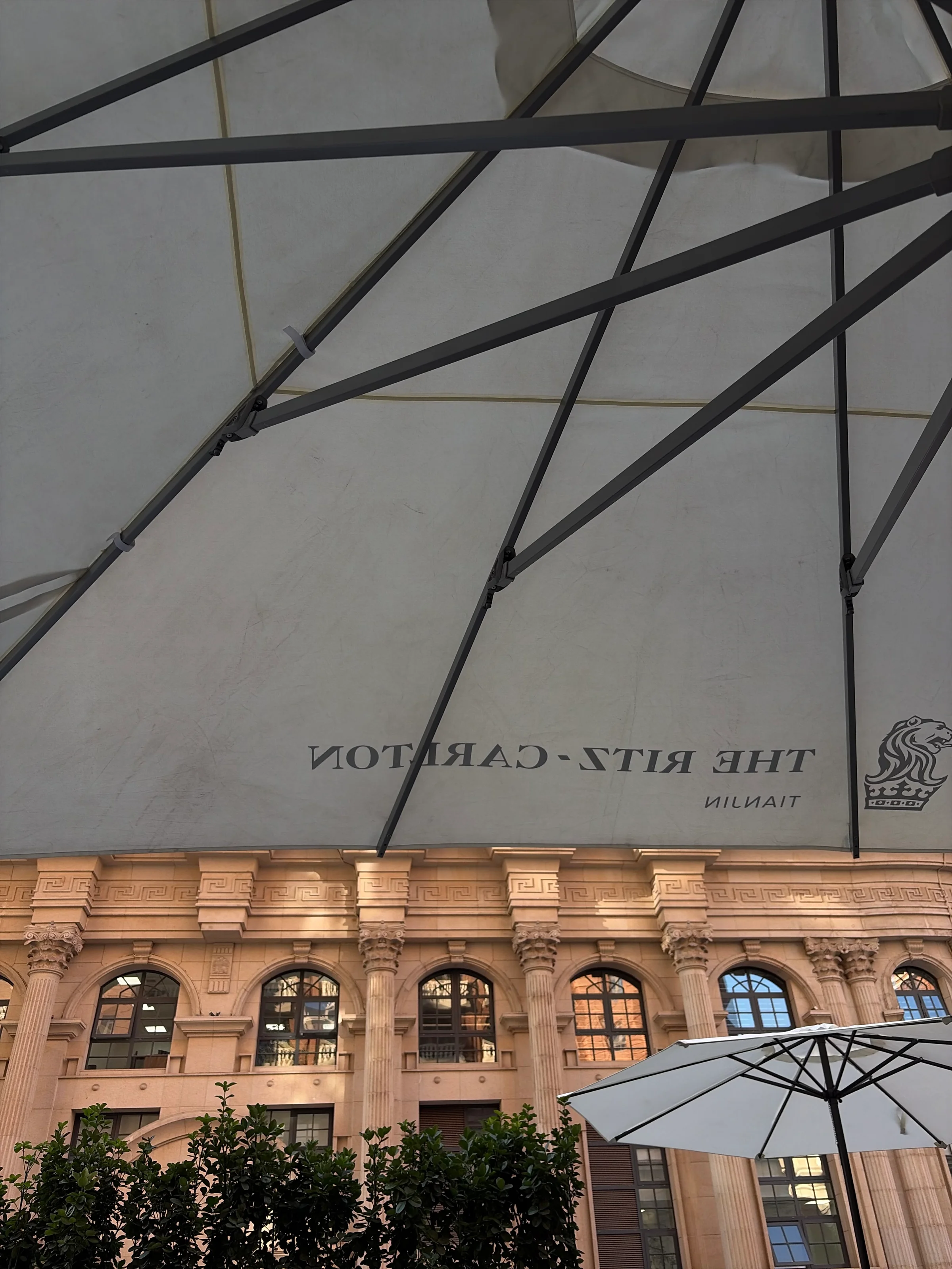 Under the umbrella